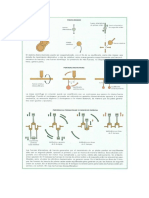 Motor Equilibrado