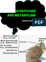 Glucocorticoid and Metabolism