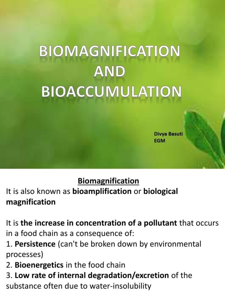 Understanding Biomagnification | PDF | Environmental Science | Chemistry