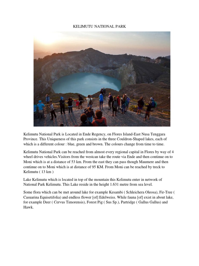 description text | Komodo Dragon | Nature