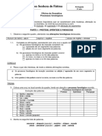 Processos Fonolc3b3gicos PDF