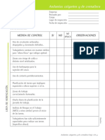Andamio Colgante PDF