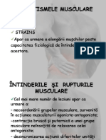 Curs VIII - Intinderi si rupturi musculare.pptx