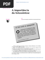 33 a Importancia Da Fotossintese