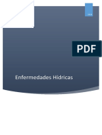 ENFERMEDADES HÍDRICAS