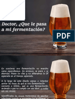 Doctor Que Le Pasa A Mi Fermentación