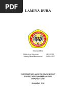 Download Lamina Dura by Doni Irawan SN367479801 doc pdf