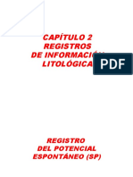 Cap 2 Registros de Información Litológica