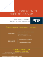 Sistema de Proteccion en Derechos Humanos