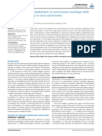 Normal Glucose Metabolism in Carnivores Overlaps With Diabetes Pathology in Non-Carnivores