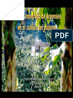 ARVENSES EN PLÁTANO MUY BUENAS IMAGENES.pdf