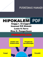 Presentation1kelompok IKM.pptx