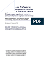 Dialnet-AntagonismoDeTrichodermaSpAnteElPatogenoStromatini-5644955