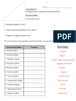 Body Systems Worksheet PDF