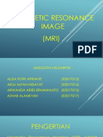 Magnetic Resonance Image (MRI)
