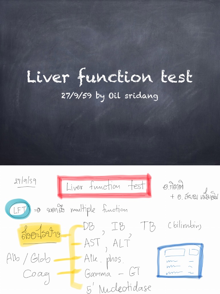 Liver Function Test Overview | PDF