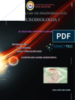 el ciclo del fosforo y los microrganismos que participan en ella