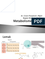 Metabolisme Lemak FK
