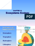 c13 ecosystem ecology