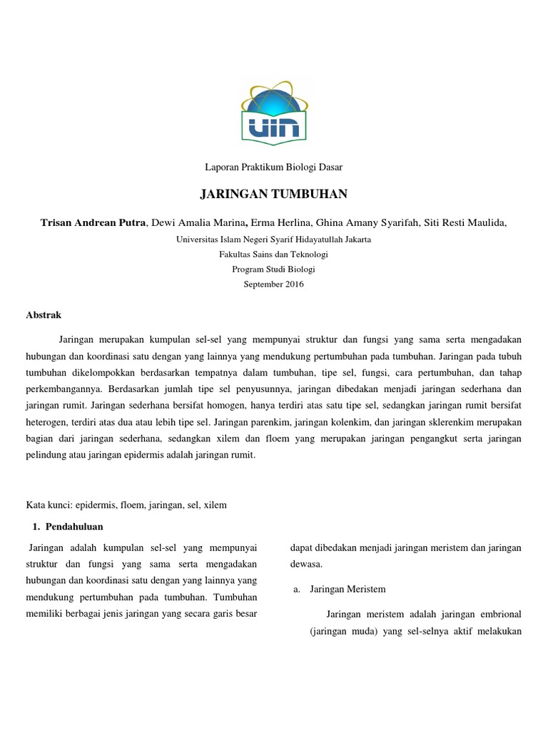 Laporan Praktikum Biologi Dasar Pengamatan Jaringan  Tumbuhan 
