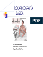 ecgbsica-100212084929-phpapp02.pdf