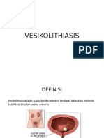 DD Vesikolithiasis