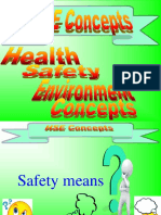 Health, Safety and Environment Program