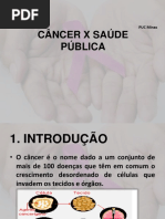 Câncer e Saúde Pública raquel.pptx