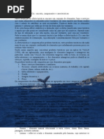 OFERTA TURÍSTICA final