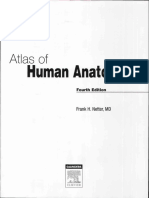 310181221 Atlas Human Anatobhnjklmy Ciba Netter