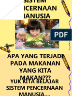 Presentasi Sistem Pencernaan Manusia