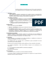 Formato de Informe Final