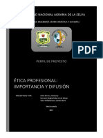 Ética Profesional - Perfil e Informe de Proyecto