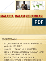 Malaria Dalam Kehamilan