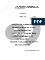 90745-Tema 13 Informatica