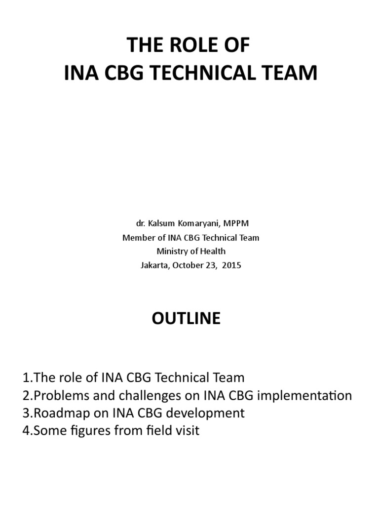 INA CBG Technical Team Overview | PDF | Patient | Health Economics