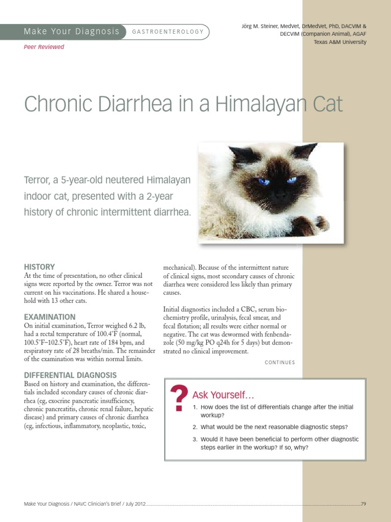 Diarrhea in a Himalayan Cat | Polymerase Chain Reaction ...
