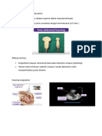 Usg Female Pelvic Teknik