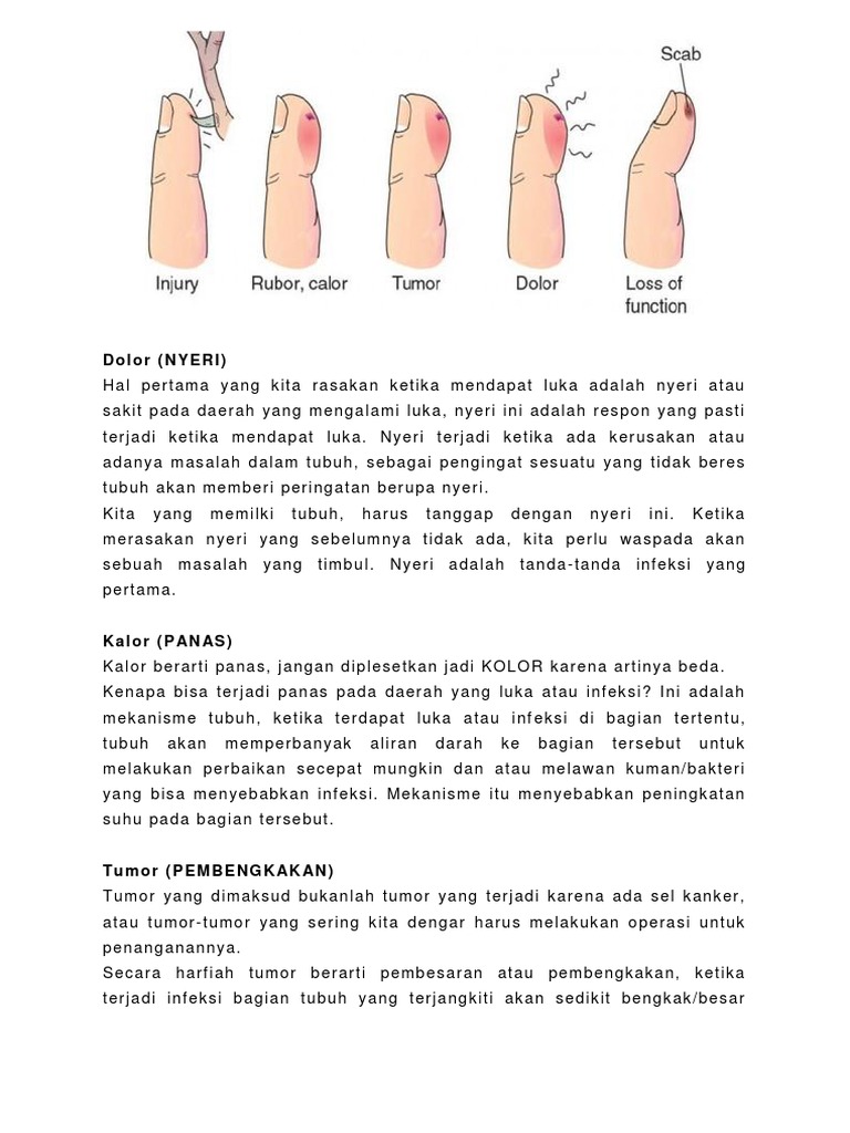 5 Tanda Utama Infeksi pada Luka | PDF | Seni & Disiplin Bahasa ...