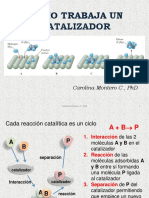 2a_como Trabaja Un Catalizador