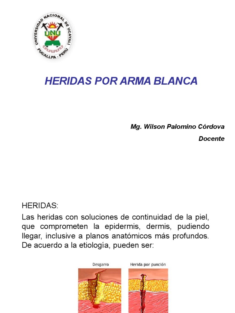 Tipos y características de heridas por arma blanca | PDF | Herida | Piel