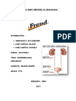 Anatomia