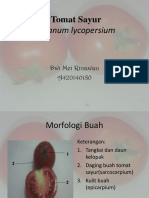 Tomat Sayur