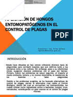 CHA-HONGOS-CONTROL-PLAGAS.pdf