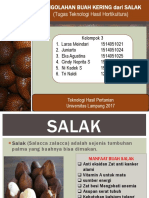 Buah Kering Salak