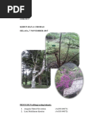 Download Laporan Kebun Raya Cibodas  by Lina Mufidatun Qonitat SN367619176 doc pdf