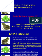 Download Struktur Dan Fungsi Organ Katak by nina SN367622581 doc pdf