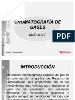 57414559-Modulo-7-CROMATOGRAFIA-DE-GASES.pdf