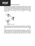 Hammom ichida jinsiy video