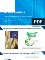 Milas de Sousa Perspectivas e Participacao Dos Biocombustiveis